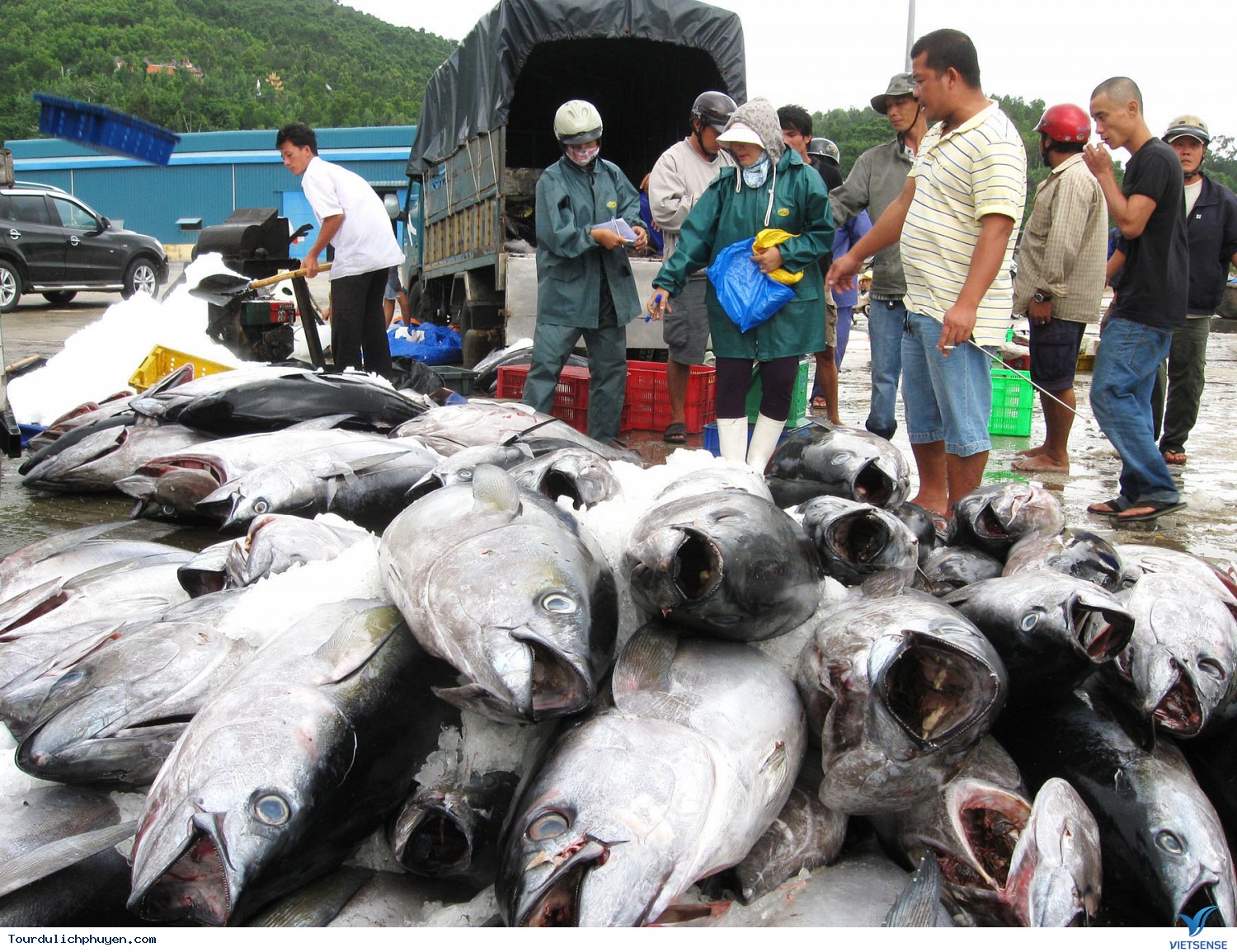 Nhật Bản trở thành khách hàng lớn nhất của thủy sản Việt Nam