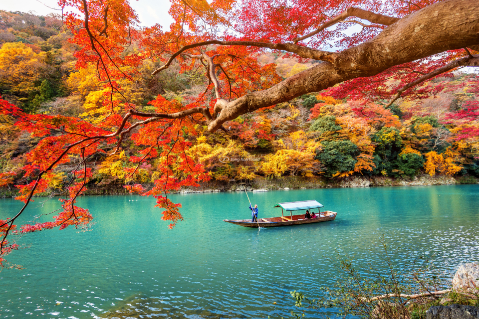 Nhật Bản chuẩn bị đón khách cho mùa “lá vàng lá đỏ”