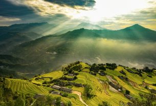 Mê đắm thu vàng ‘vờn mây’ trên những thửa ruộng bậc thang nơi miền biên giới