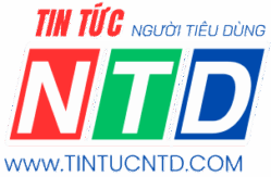 Kênh tin tức mọi nhà