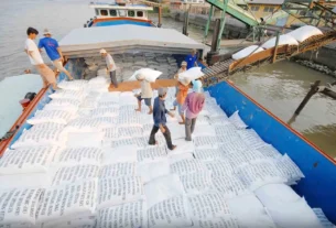 Giá gạo tiếp tục giảm, Trung Quốc tăng nhập