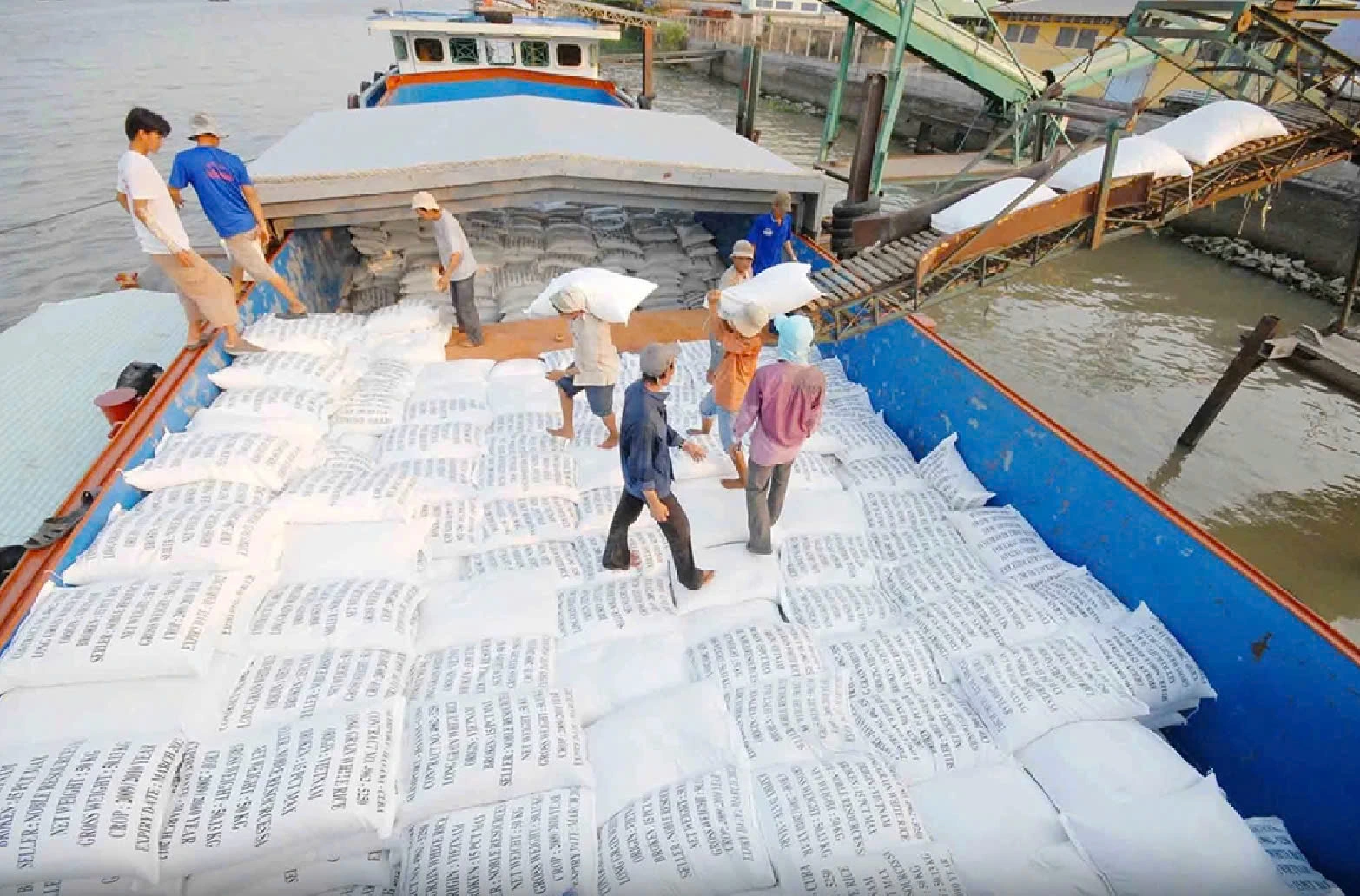 Giá gạo tiếp tục giảm, Trung Quốc tăng nhập