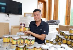 Chuối sạch Chiêu Yên – Từ vị ngọt quê hương đến thị trường thế giới
