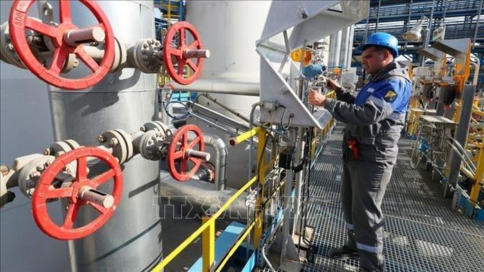 Nga gia hạn lệnh cấm xuất khẩu xăng đến cuối năm